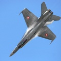 riat2006_renekurzenberg_img_3539_20120910_1977840457.jpg