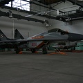 4101_mig-29g_41elt_ex_2907_ex_668_pic1_20130224_1805468770.jpg