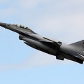 FA-134, F-16AM, Belgian Air Force (просмотров: 2555) Kleine Brogel 2015 FA-134, F-16AM, Belgian Air Force