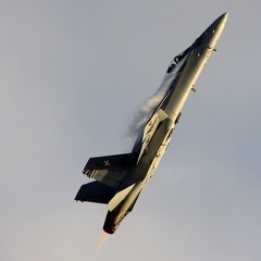 J-5007, F/A-18 Hornet, Swiss Air Force (2729 Besuche) J-5007, F/A-18 Hornet, Swiss Air Force