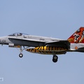 15-01, E/F-18 Hornet (3639 Besuche) SIAF 2017, Sonderbemalung Tigermeet 15-01, E/F-18 Hornet