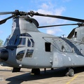 D-890, CH-47F (2942 visits) D-890, CH-47F