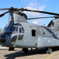 D-890, CH-47F (2942 Besuche) D-890, CH-47F
