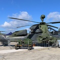 tiger-7407-tdbw-15c.JPG