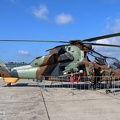 tigerfrance-bid-tdbw-2017-15c.JPG