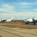 img619-an26-3x-10c.jpg
