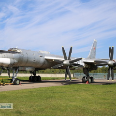 31 rot, Tupolew Tu-95MS (2411 visits) 31 rot, Tupolew Tu-95MS
