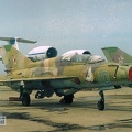 mig21-achtubinsk-3-10c.jpg