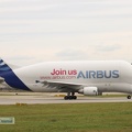 beluga-fgstc-2012-3-15c.jpg