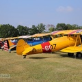 bea-IMG_0380-30c.JPG