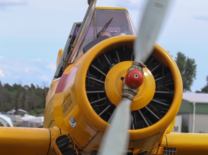 D-EOYZ, Z-37-2 Cmelak (1465 visite) D-EOYZ, Z-37-2 Cmelak