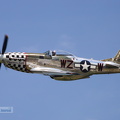 p51d-nl51zw-bfarm2024-5-15c.jpg