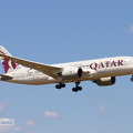 A7-BDC, Boeing 787-8, Qatar (628 visingar) A7-BDC, Boeing 787-8, Qatar